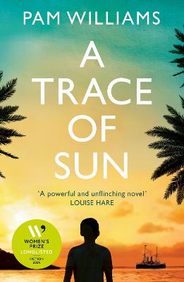 A Trace of Sun (Paperback)