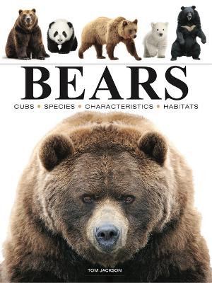 Bears Pocket Edition