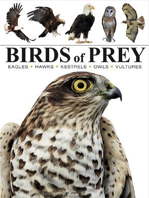Birds of Prey: Mini Encyclopedia (Paperback)