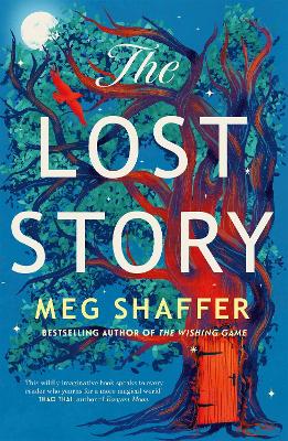 The Lost Story (Paperback)