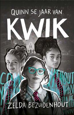 Quinn se Jaar van Kwik (Paperback)