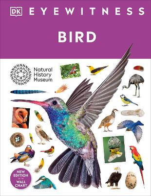 DK Eyewitness Bird (Hardcover)