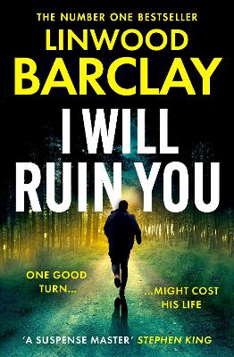 I Will Ruin You (Paperback)