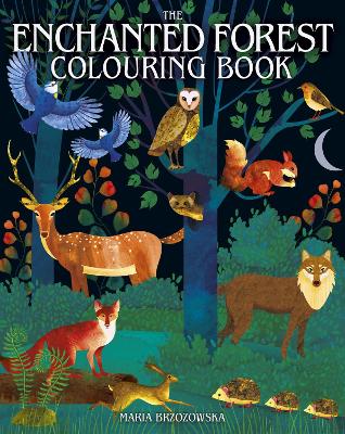 The Enchanted Forest Colouring Book (Paperback)