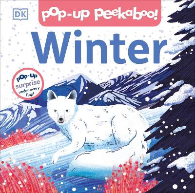 Pop-up Peekaboo! Winter (Board Book)