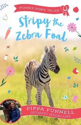 PPT 17: Stripy The Zebra Foal