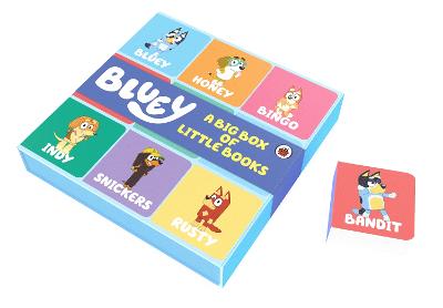 Bluey: Big Box of Little Books (Board Book)