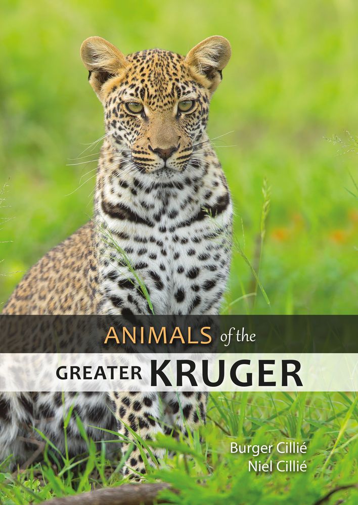 Animals Of The Greater Kruger (Paperback)