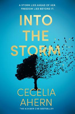 Into The Storm (Paperback)