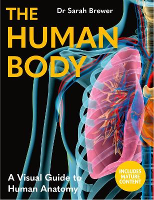 The Human Body: A Visual Guide to Human Anatomy (Hardcover)