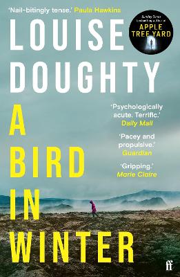 A Bird in Winter (Paperback)