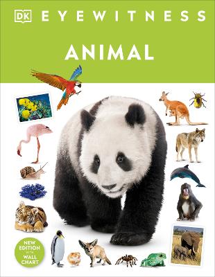 DK Eyewitness: Animal (Hardcover)