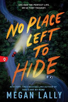 No Place Left to Hide (Paperback)