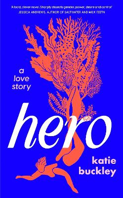 Hero: A fierce and captivating literary love story for 2025