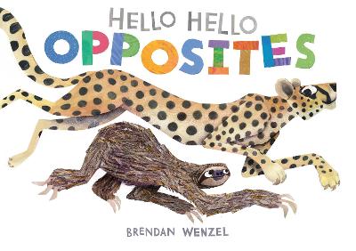 Hello Hello Opposites (Board Book)