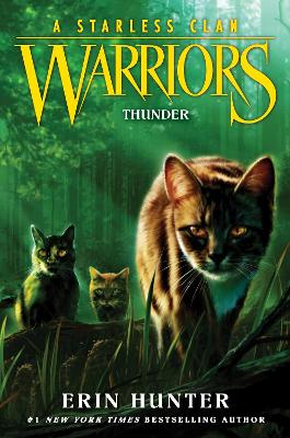 Warriors: A Starless Clan #4: Thunder (Paperback)