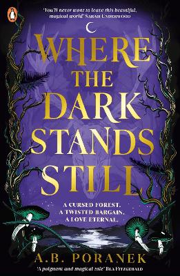 Where The Dark Stands Still