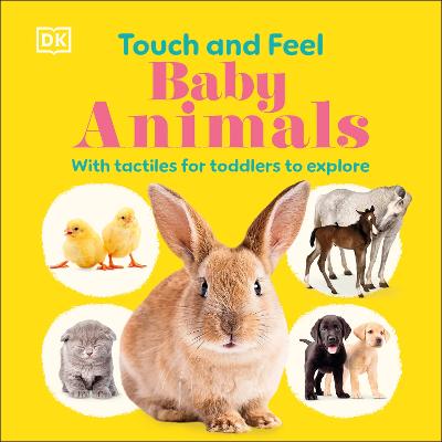 Touch And Feel: Baby Animals