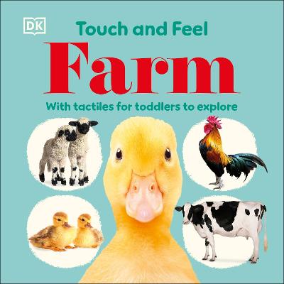 Touch And Feel: Farm (Board Book)