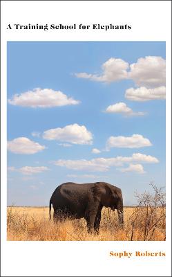 A Training School For Elephants (Trade Paperback)