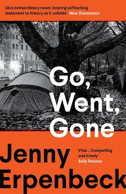 Go, Went, Gone (Paperback)