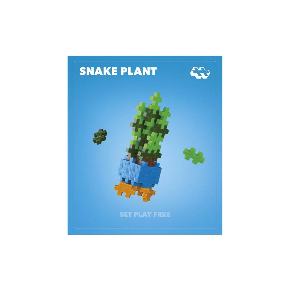 Plant Packs: Snake Plant