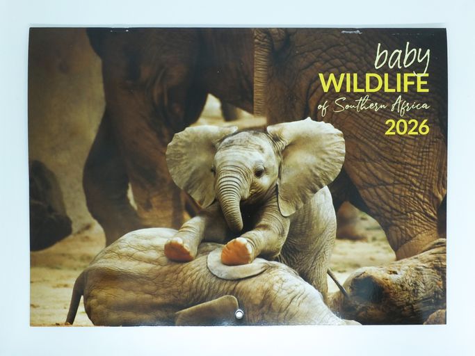 Large Baby Wildlife 2026
