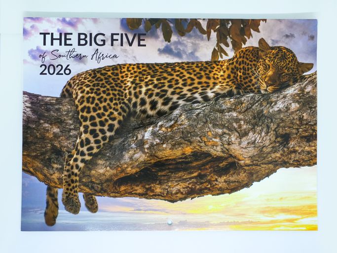 Large Big Five Calendar 2026