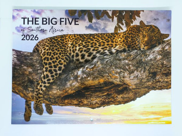 Large Big Five Calendar 2026
