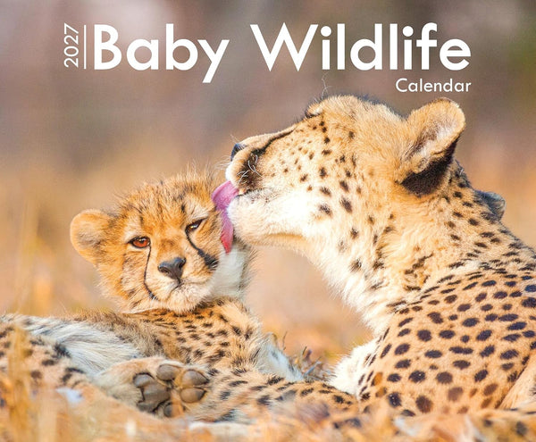 2027 Baby Wildlife Large Calendar