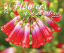 Flowers of South Africa Calendar 2027