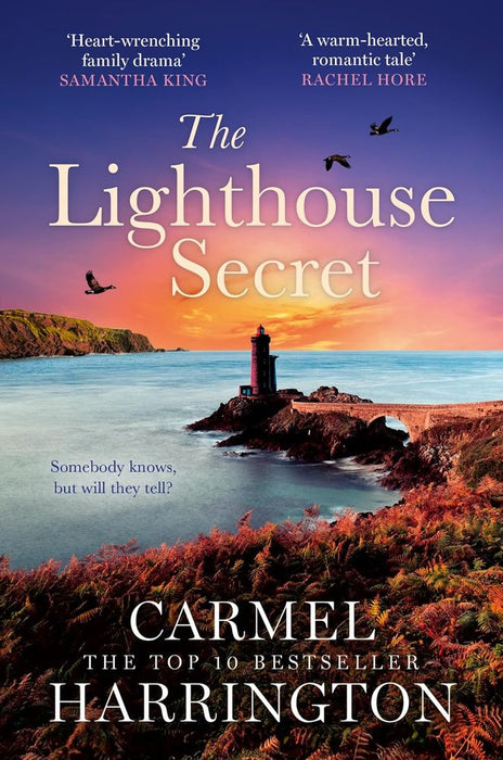 Lighthouse Secret (Paperback)