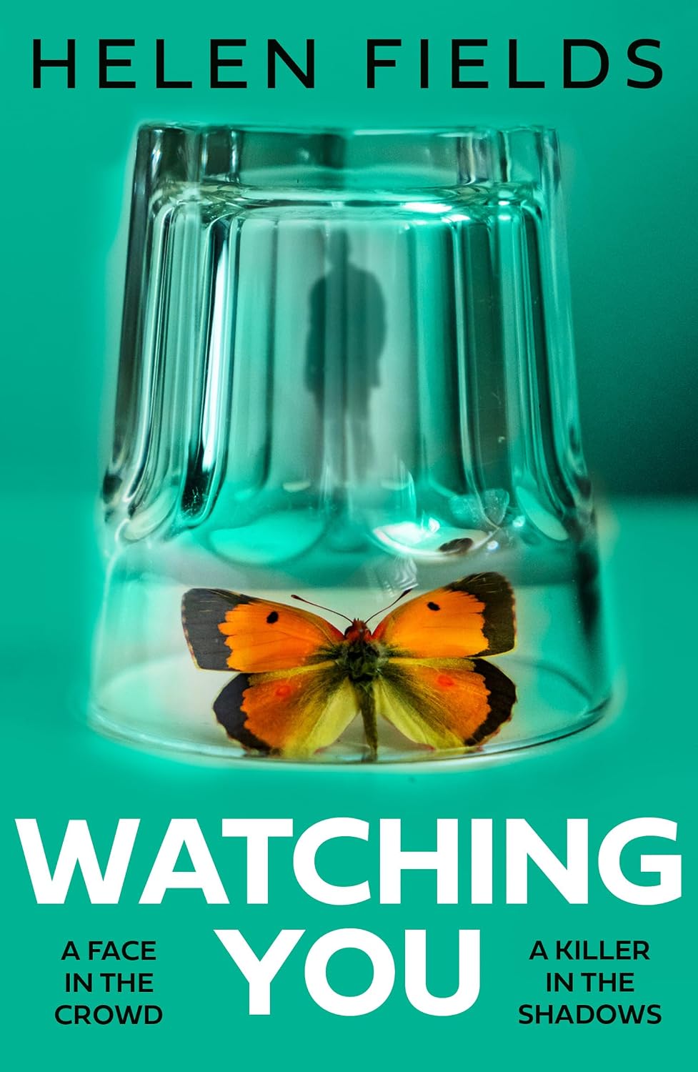 Watching You (Paperback)