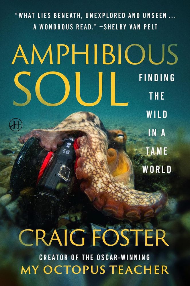 Amphibious Soul (Paperback)