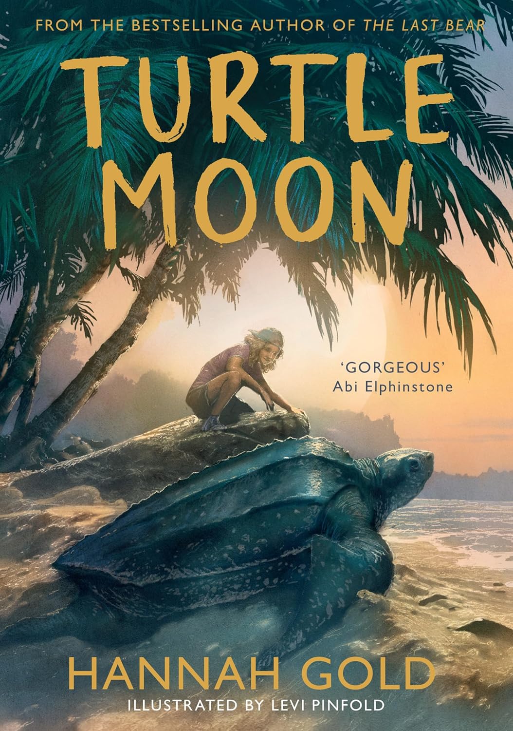 Turtle Moon (Paperback)