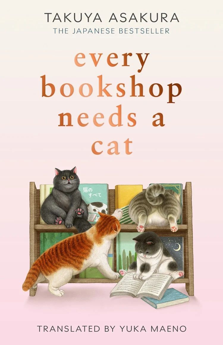 Every Bookshop Needs a Cat (Trade Paperback)
