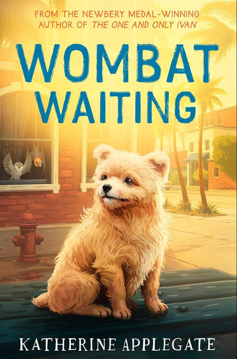 Wombat Waiting Paperback)