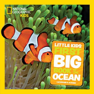 Little Kids First Big Book Of The Ocean (Hardcover)