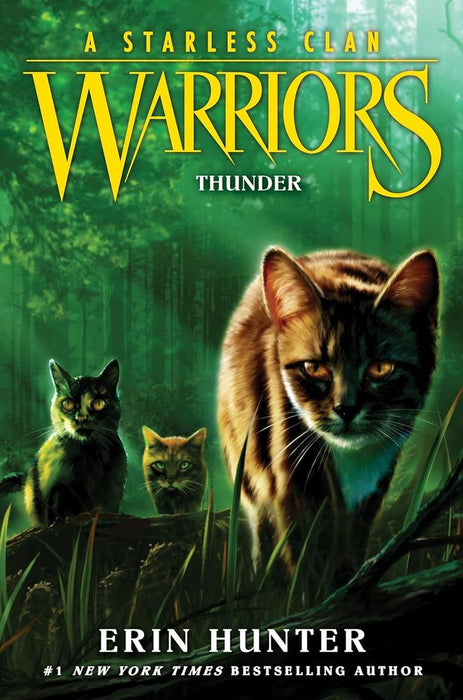 Warriors: A Starless Clan 4: Thunder