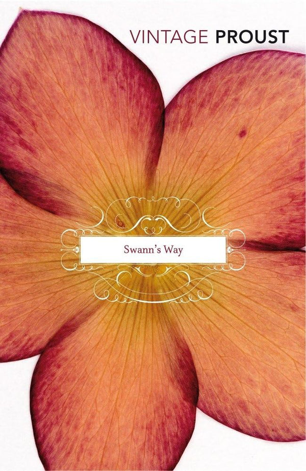 In Search Of Lost Time Vol 1: Swann's Way (Paperback)