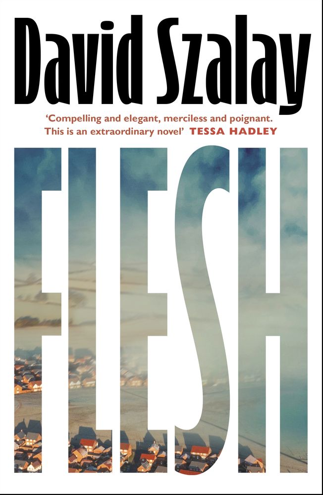 Flesh (Trade Paperback)