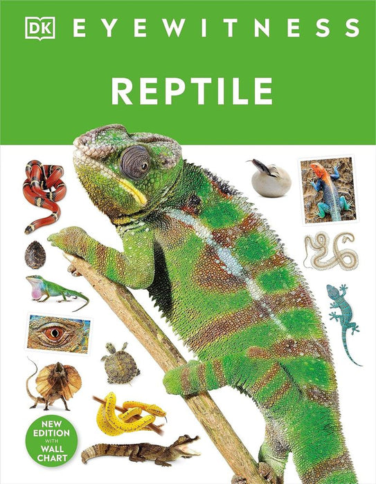 DK Eyewitness: Reptile (Hardcover)