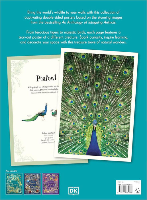 An Anthology Of Intruiging Animals Poster Book (Paperback)