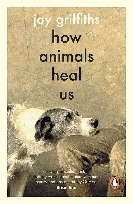 How Animals Heal Us (Paperback)
