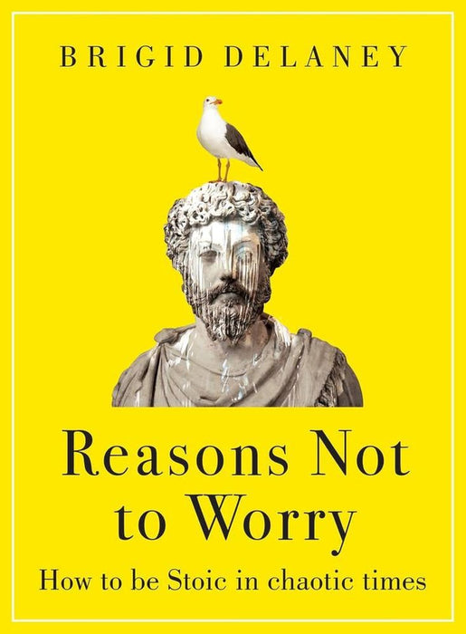 Reasons Not To Worry (Paperback)