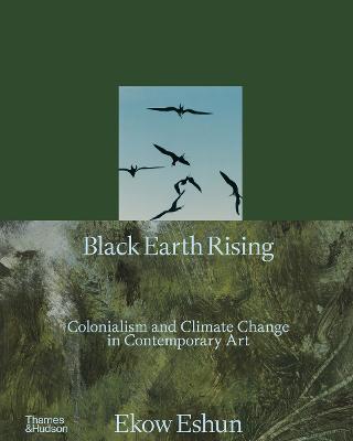 Black Earth Rising: Colonialism and Climate Change in Contemporary Art (Hardcover)
