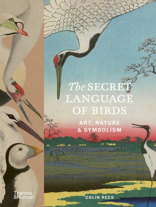 The Secret Language of Birds: Art, Nature & Symbolism (Hardcover)