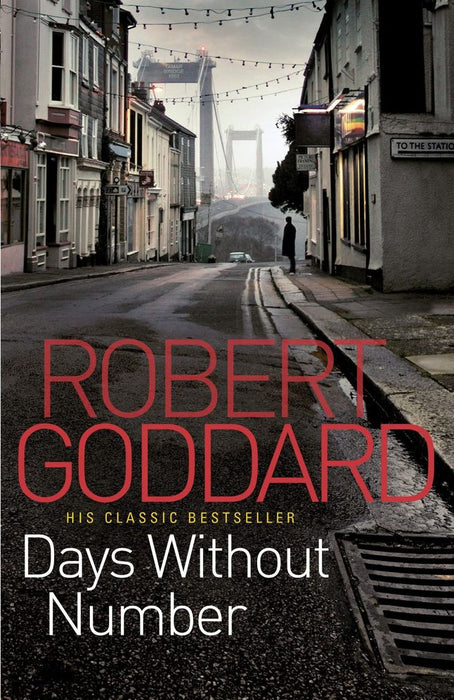 Days Without Number (Paperback)