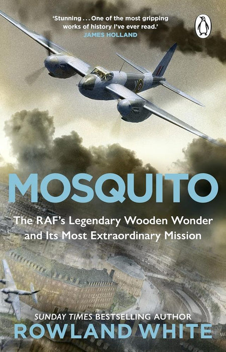 Mosquito (Paperback)