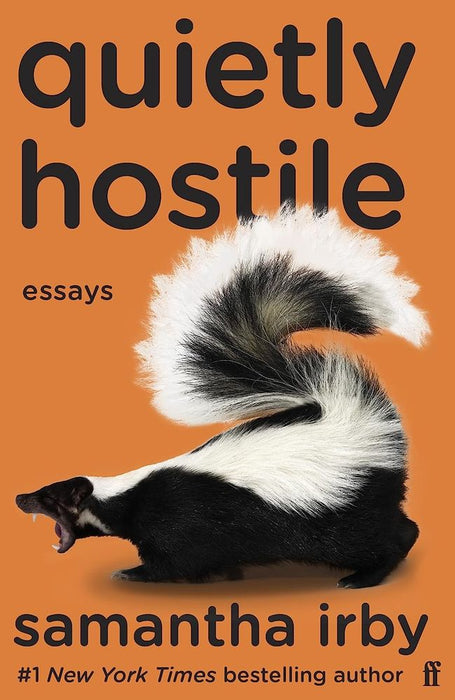 Quietly Hostile: Essays (Paperback)